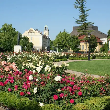 Sohaz Panzio Es Apartmanhaz 4* Szolnok